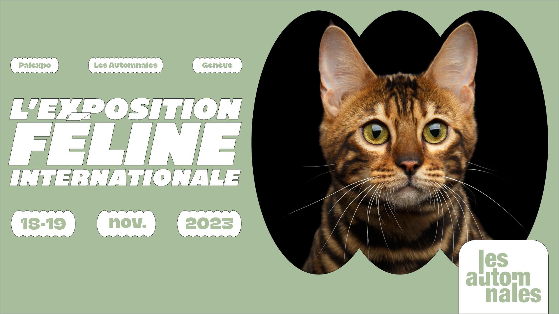 L'exposition féline internationale