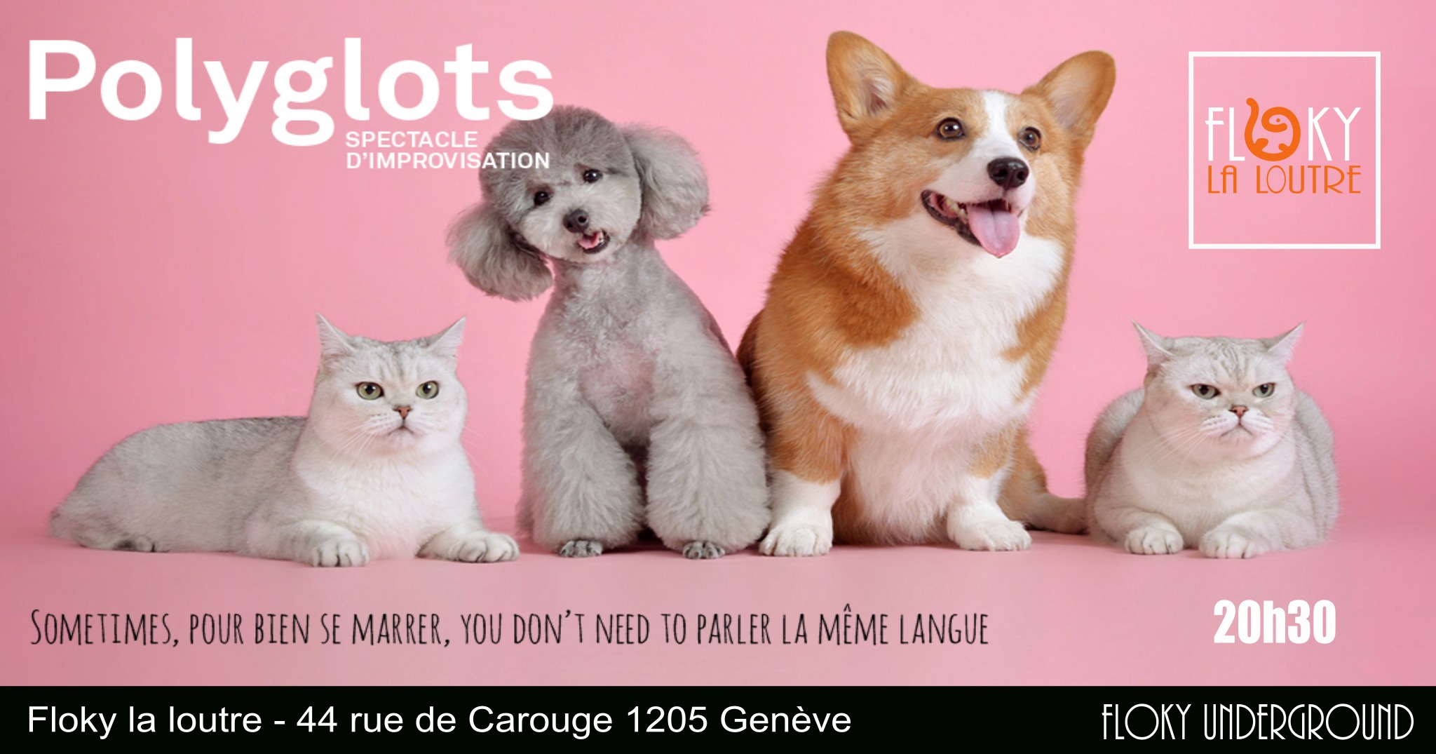 Compagnie Polyglots - Spectacle d'improvisation