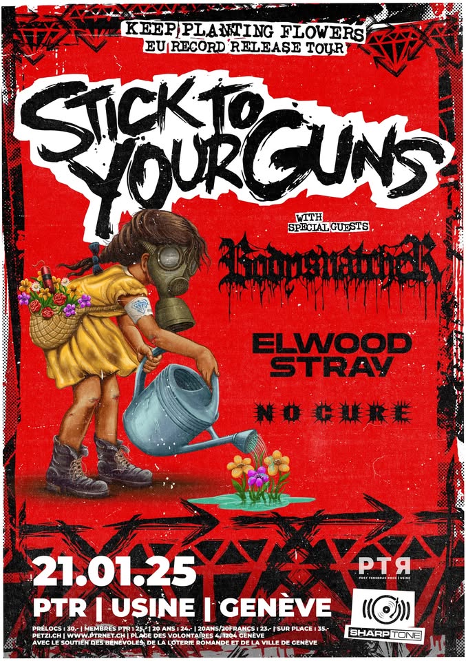 sticktoyourguns